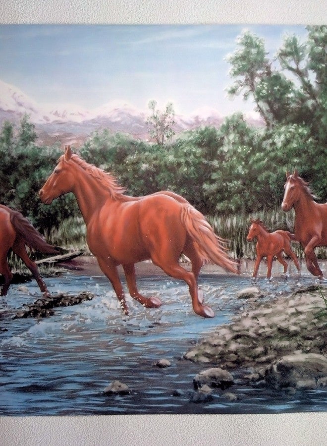 سيبروك خلفية حدود الخيول البرية - تيار عبور الخيول - Image 4