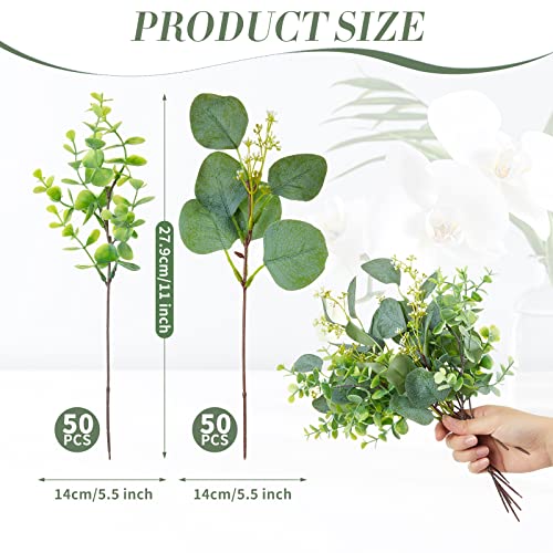 Yunsailing 100 Pcs Faux Eucalyptus Stems with White Seeds Artificial Eucalyptus Leaves Greenery Decor Fake Leaf Branches for Wedding Bouquets Centerpiece Flower Arrangement Farmhouse Home Decoration - Image 2