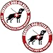 TOTOMO Service Dog on Board Do Not Separate from Handler Service Dog Lives here Dog May Not be Vested Sticker Combo 6 x 6 Set of 2 Stickers Adhesive Window Bumper Vinyl Decal All Weather - Image 2