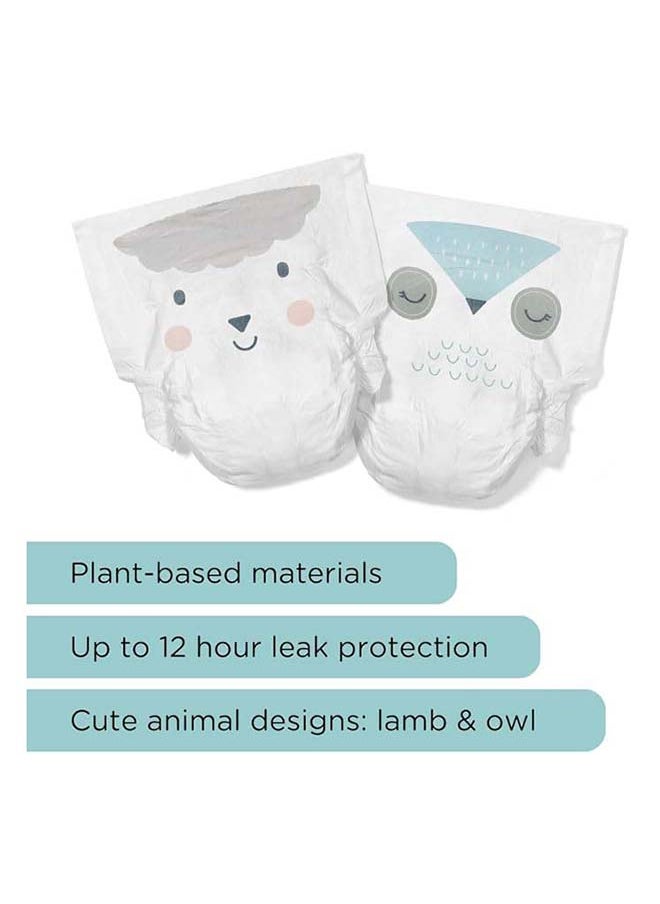 Kit & Kin - KIT & KIN Baby Diapers For New Born 2-5Kg, Size 1, (Pack of  38) | Flash Dry Superior Leak Protection, Disposable Diapers | Hypoallergenic Skin Protection Diapers for Baby - Image 1