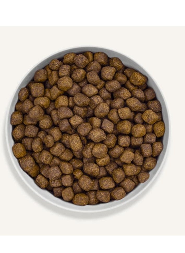 Canagan Free Run Turkey for Dogs Dry Food 12KG - Image 2