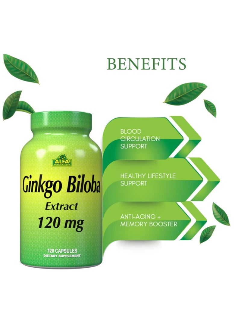 alfa vitamins Ginkgo Biloba 120 mg - 120 capsules  - Image 3