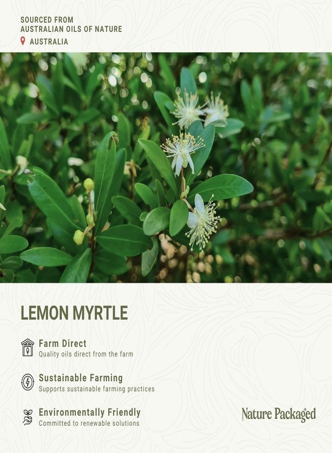 Nature Packaged Lemon Myrtle Essential Oil - Experience an Invigorating, Fresh Citrus Aroma - Pure, Undiluted Therapeutic Grade Essential Oil - 5ml - Image 3