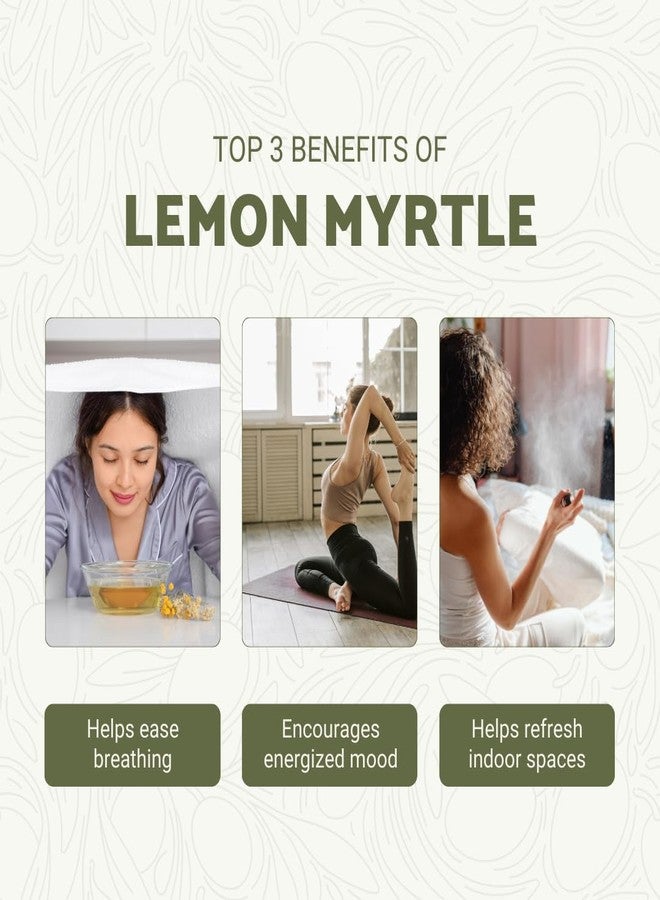 Nature Packaged Lemon Myrtle Essential Oil - Experience an Invigorating, Fresh Citrus Aroma - Pure, Undiluted Therapeutic Grade Essential Oil - 5ml - Image 2