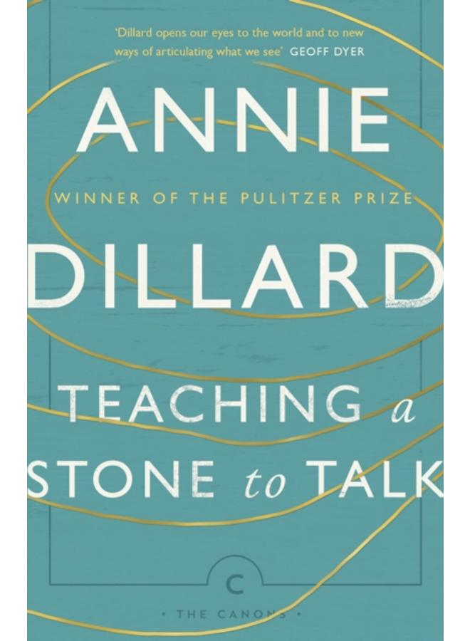 تعليم حجر الكلام: الرحلات واللقاءات