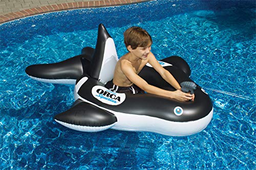 Swimline Orca RideOn Pool Squirter - Image 5
