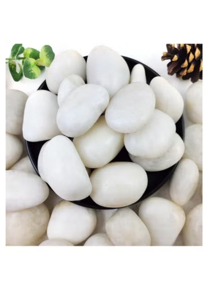 vsell24 10KG 3-5 cm White Decorative Pebbles - Smooth Polished River Rocks for Vases, Glassware, Aquariums, Lawns, and Outdoor Gardens  - Image 3