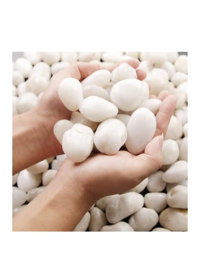 vsell24 10KG 3-5 cm White Decorative Pebbles - Smooth Polished River Rocks for Vases, Glassware, Aquariums, Lawns, and Outdoor Gardens  - Image 2