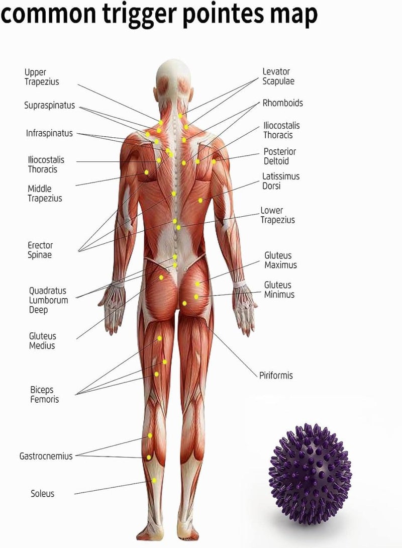 KHAJUL 2-Piece Massage Ball, Hard Spike Massage Ball, Foot Massager, Increase Flexiblity, for Plantar Fasciitis Relief and Back Pain - Image 3