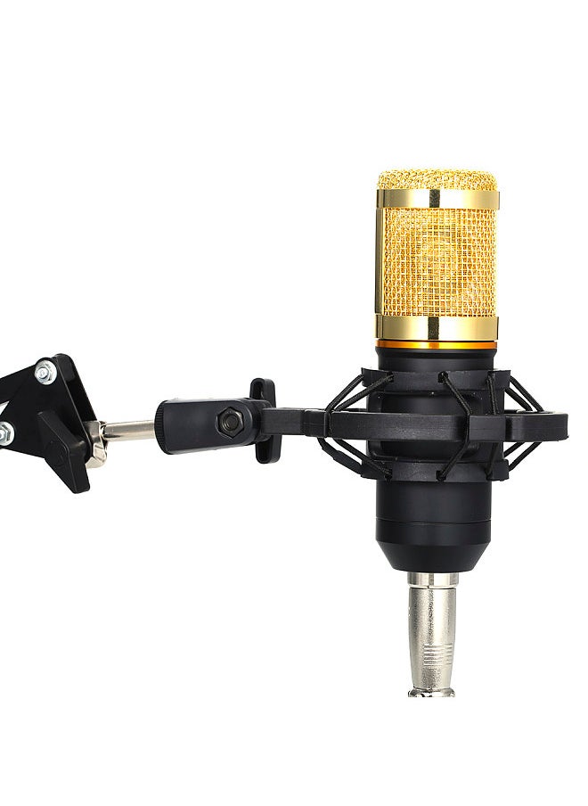 Generic - BM800 Professional Suspension Microphone Kit Studio Live Stream Broadcasting Recording Condenser Microphone Set - Image 1