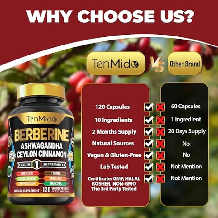 Tenmido Berberine Supplement - 10in1 Formula with Ashwagandha, Ceylon Cinnamon, Turmeric, Panax Ginseng, Slippery Elm, Fennel, Green Tea, & More - Immune, Digestive Support - 120 Caps - Image 5