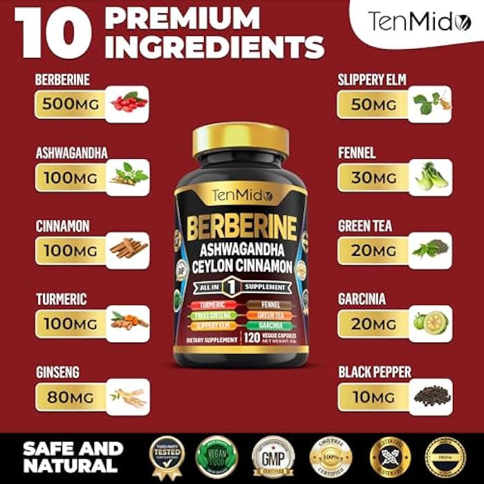 Tenmido Berberine Supplement - 10in1 Formula with Ashwagandha, Ceylon Cinnamon, Turmeric, Panax Ginseng, Slippery Elm, Fennel, Green Tea, & More - Immune, Digestive Support - 120 Caps - Image 3