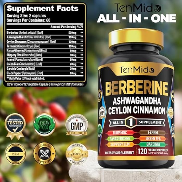 Tenmido Berberine Supplement - 10in1 Formula with Ashwagandha, Ceylon Cinnamon, Turmeric, Panax Ginseng, Slippery Elm, Fennel, Green Tea, & More - Immune, Digestive Support - 120 Caps - Image 2