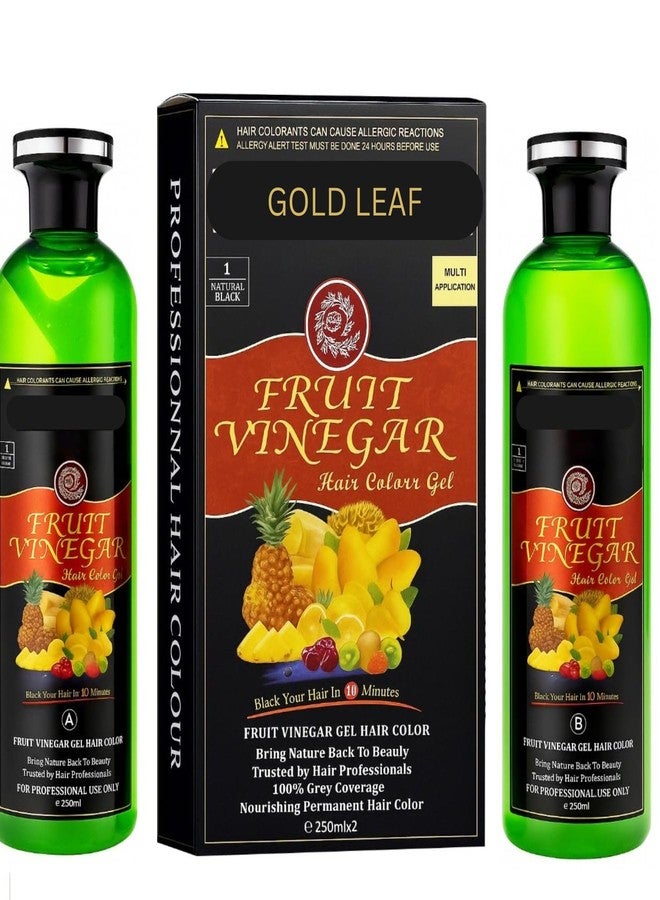 GOLD LEAF Fruit Vinegar Hair Color Gel – Natural Black Hair Dye (250ml x 2) – AmmoniaFree, Long-Lasting, Gentle on Scalp – Safe Hair Color for Men & Women (Black, 250ml Each) - Image 1