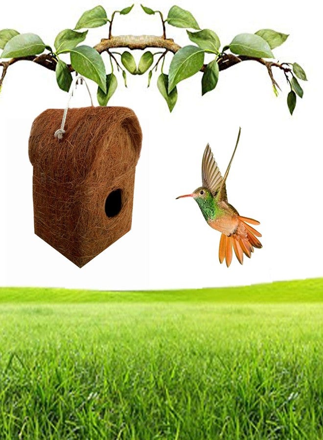 LIVEONCE 4 Pure Nest Bird House Purely Handmade with Easy Hanging Rings - Image 4
