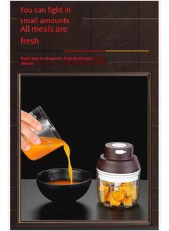 أس أس جي بي الثوم المفرمة الكهربائية ، ميني المحمولة آلة تقطيع الخضار ، 250ml الثوم طحن البصل المفرمة ، خلاط الخضار ، والزنجبيل والفلفل والفواكه واللحوم وغيرها من آلات تجهيز الأغذية اللاسلكية  - Image 5