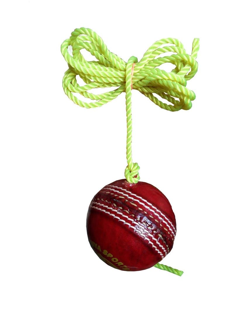WILLAGE Cricket Ball Hanging Practice | Hanging Cricket Ball | Leather Cricket Ball | Hanging Ball Cricket Practice | Practice Cricket Ball | Cricket Ball with Rope | Cricket Hanging Ball (Pack OF2) - Image 2