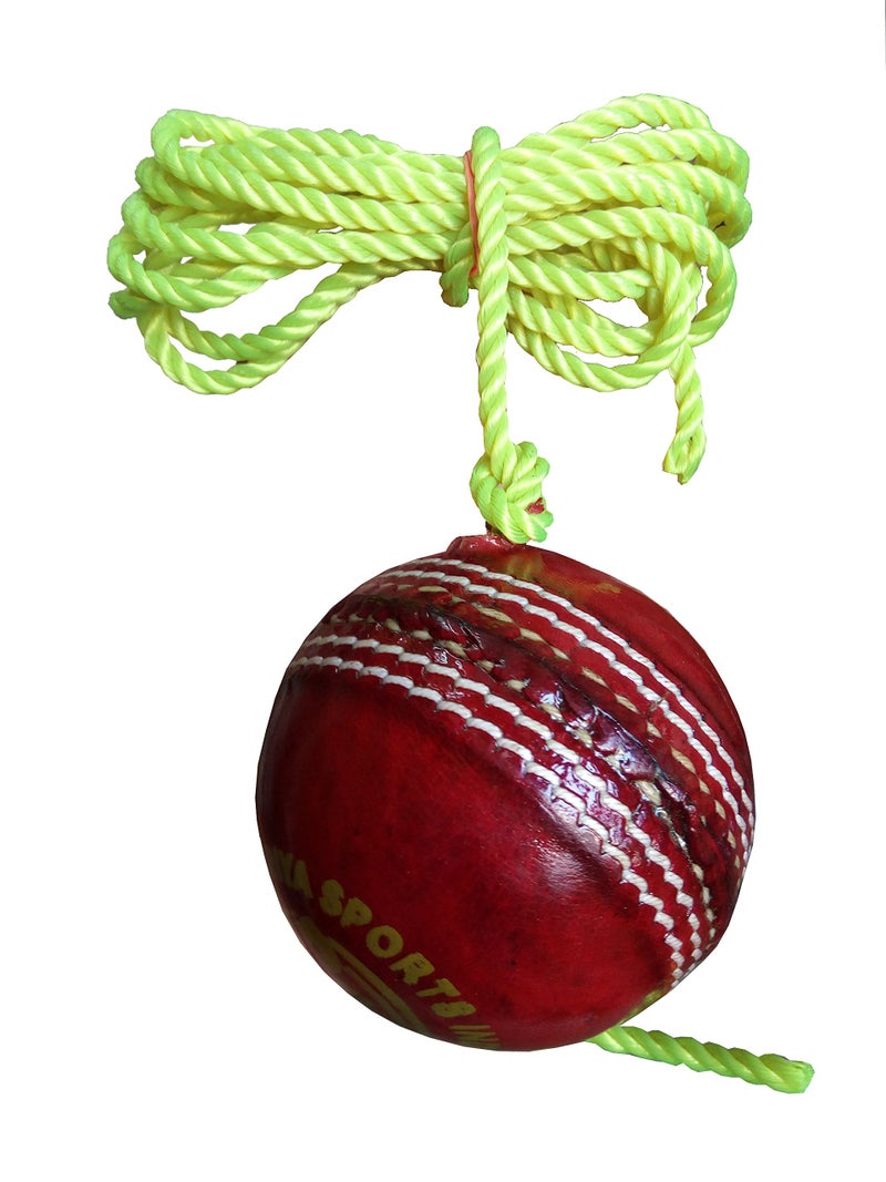 WILLAGE Cricket Ball Hanging Practice | Hanging Cricket Ball | Leather Cricket Ball | Hanging Ball Cricket Practice | Practice Cricket Ball | Cricket Ball with Rope | Cricket Hanging Ball (Pack OF2) - Image 5
