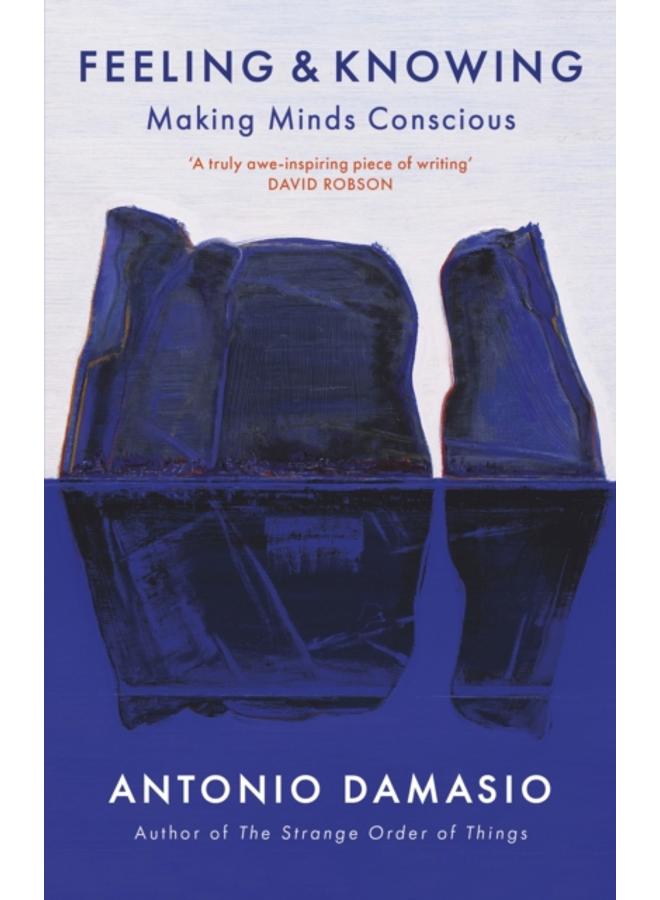 Feeling and Knowing : Making Minds Conscious 