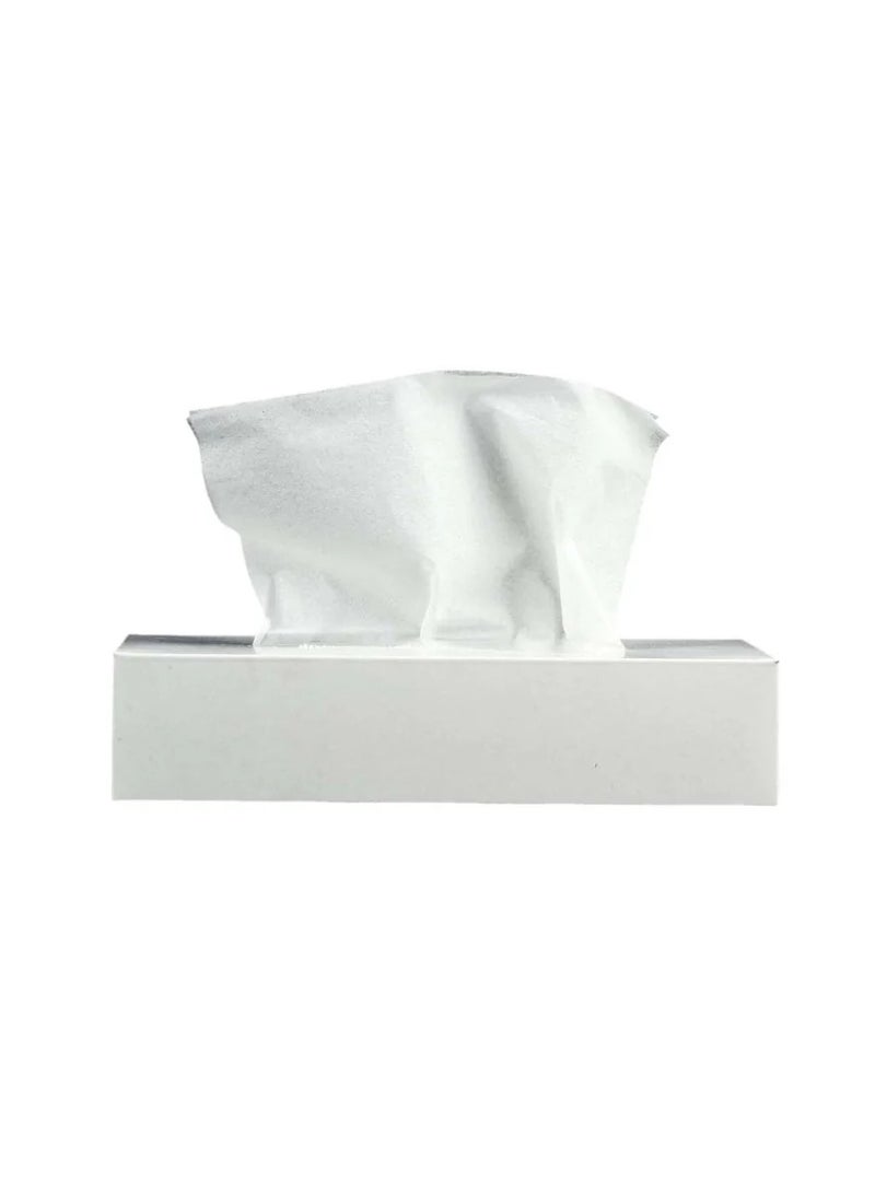 Hotpack Snow White Tissue Box  carton - 42 Tissue Boxes, 100 x 2-ply tissues per box