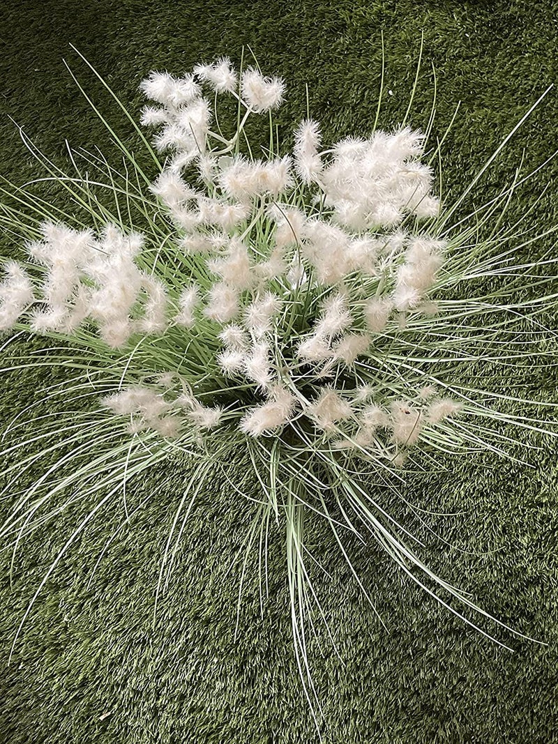 FOX & FERN FOX FERN Artificial Grass Plant for HomeOffice Decor Faux Plant to Elevate Any IndoorOutdoor SpaceClouds Grass White30 - Image 2