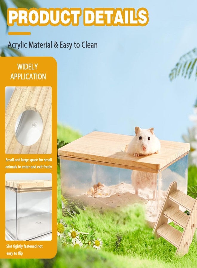 Quxddy Hamster Sand Bath Box Container, Hamster Bath Sand Gerbil Sand Bath Hamster Dust Bath, Hamster Litter Box Chinchilla Dust Bath Hamster Accessories (Small Rectangle) - Image 3