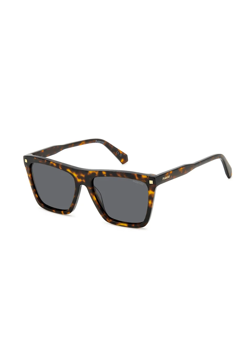 بولارويد Pld 4164/S/X Wayfarers Sunglasses