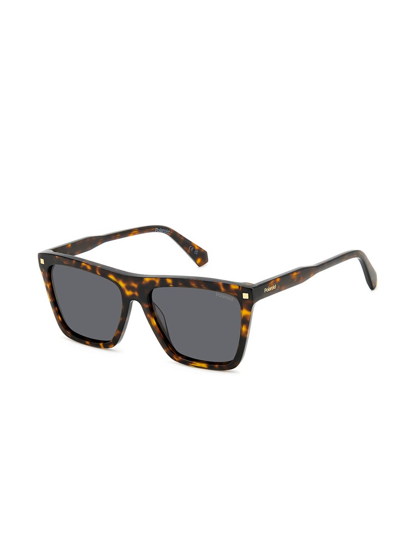 Polaroid Pld 4164/S/X Wayfarers Sunglasses  - Image 1