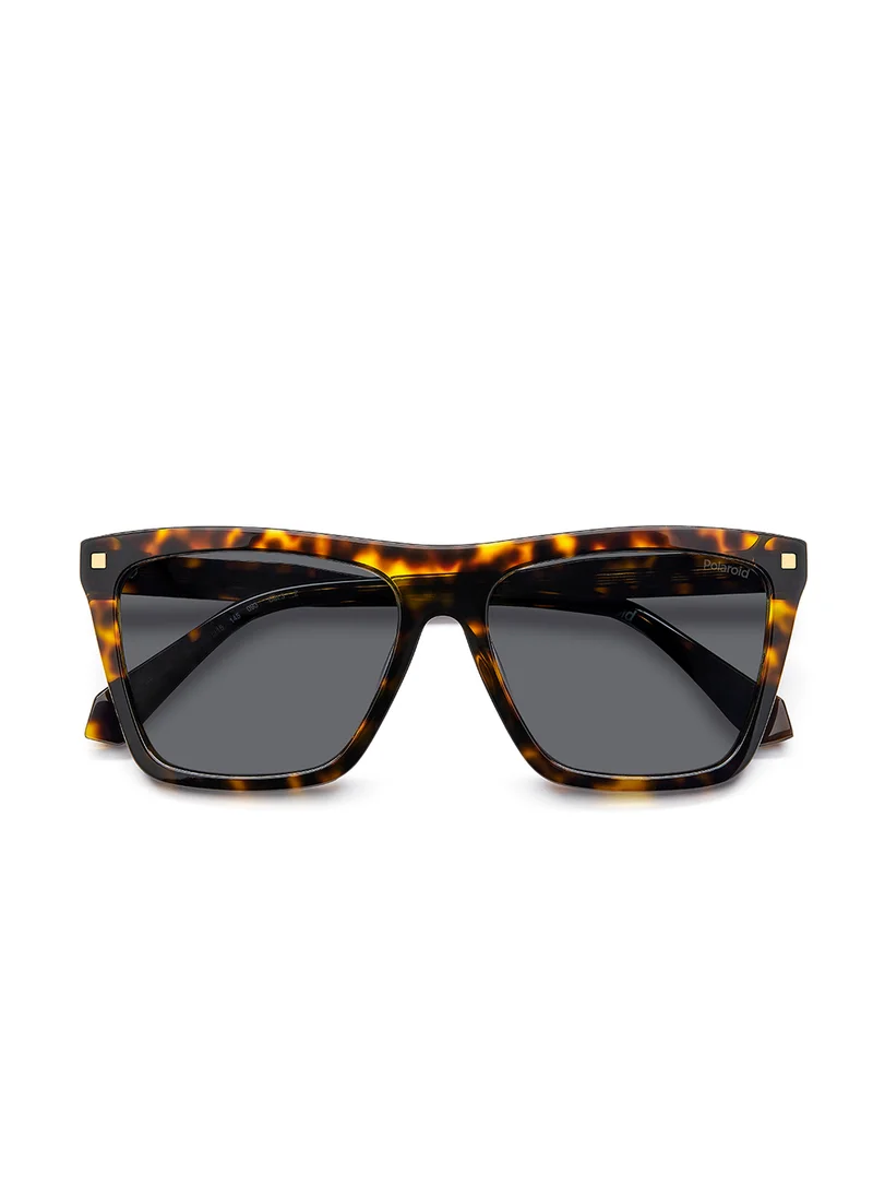 بولارويد Pld 4164/S/X Wayfarers Sunglasses