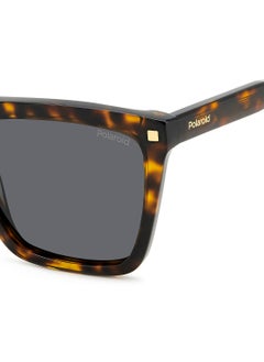 Polaroid Pld 4164/S/X Wayfarers Sunglasses  - Image 4