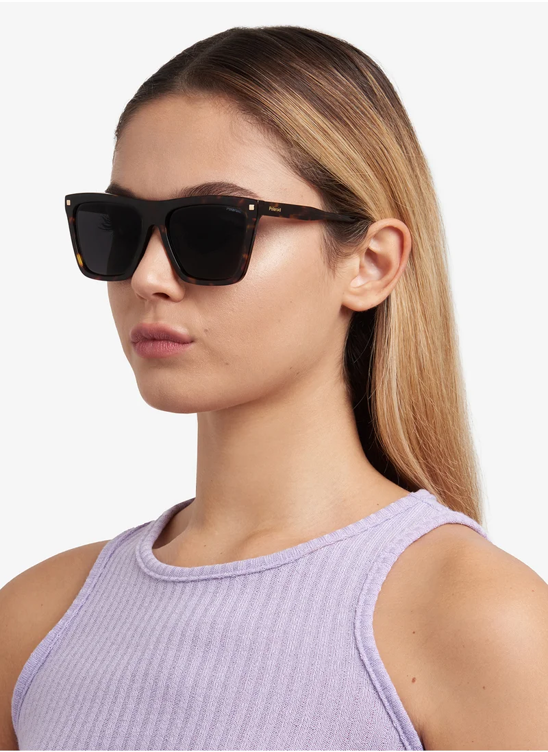 بولارويد Pld 4164/S/X Wayfarers Sunglasses