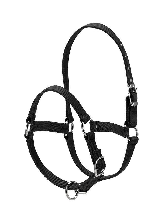 NIBEMINENT - Adjustable Horse Head Collar S - Image 1