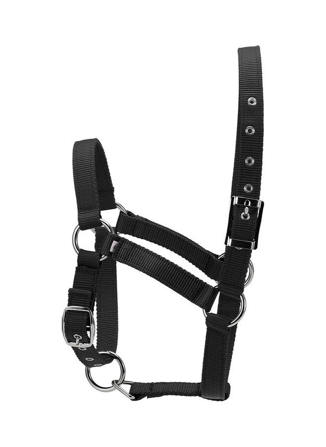 NIBEMINENT - Adjustable Horse Head Collar S - Image 1