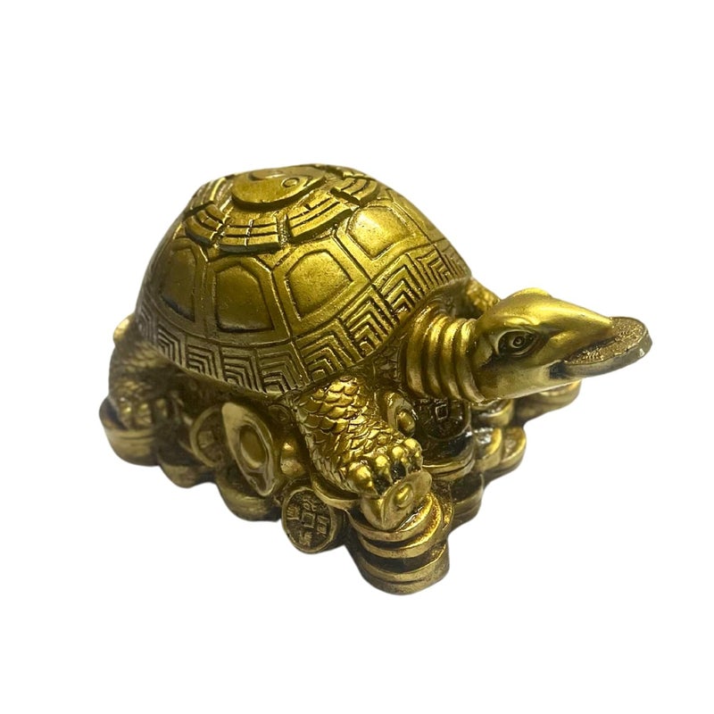 RIPE INDIA RIPE INDIA Feng Shui TurtleTortoise with Coin in Mouth for Good Luck for Home Shop Office Resin Brass Color Made in India 14 x 7 - Image 4