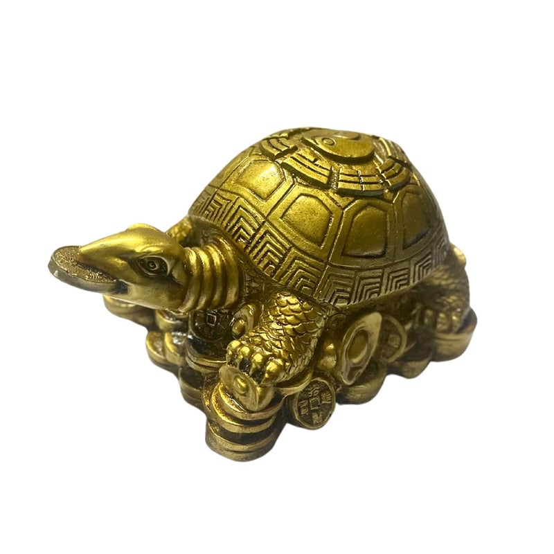 RIPE INDIA RIPE INDIA Feng Shui TurtleTortoise with Coin in Mouth for Good Luck for Home Shop Office Resin Brass Color Made in India 14 x 7 - Image 3