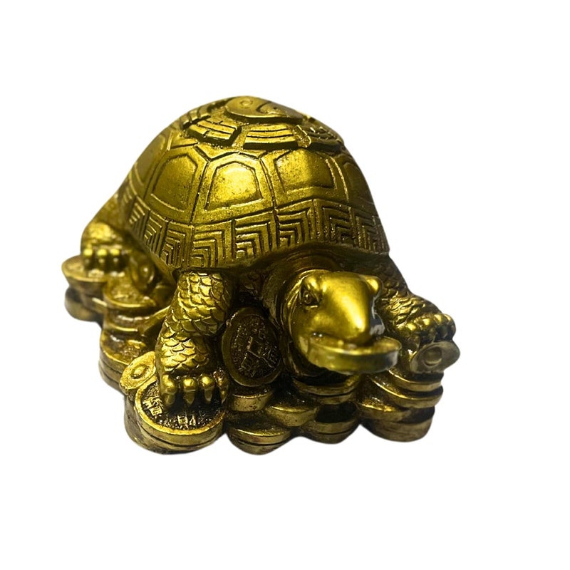 RIPE INDIA RIPE INDIA Feng Shui TurtleTortoise with Coin in Mouth for Good Luck for Home Shop Office Resin Brass Color Made in India 14 x 7 - Image 5