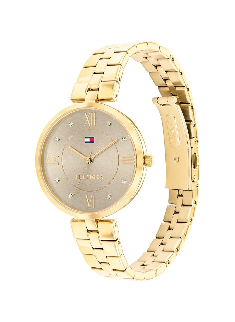 TOMMY HILFIGER - Women's Analog Round Shape Stainless Steel Wrist Watch 1782685 - 34 Mm - Image 1