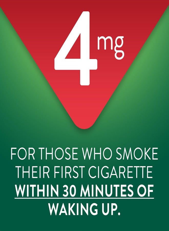 GoodSense Nicotine Polacrilex Coated Gum 4 mg (Nicotine), Mint Flavor, Stop Smoking Aid - Image 3