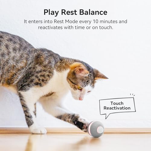 Cheerble Smart Interactive Cat Toy, Automatic Moving Bouncing Rolling Ball for Indoor Cat Kitten, Peppy Pet Ball with Lights and Bell, Grey - Image 5