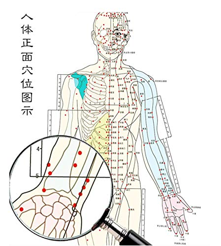 Zzooi Set of 2 Human Body Acupuncture Point Map, Chinese Version - Image 3