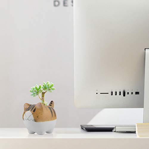 BCP Mini Ceramic Cute Animal Shaped Cartoon Home Decoration Vase Flower Pots Cat Shape Planter for Succulent Plant/Cactus Flower (Smile) - Image 3