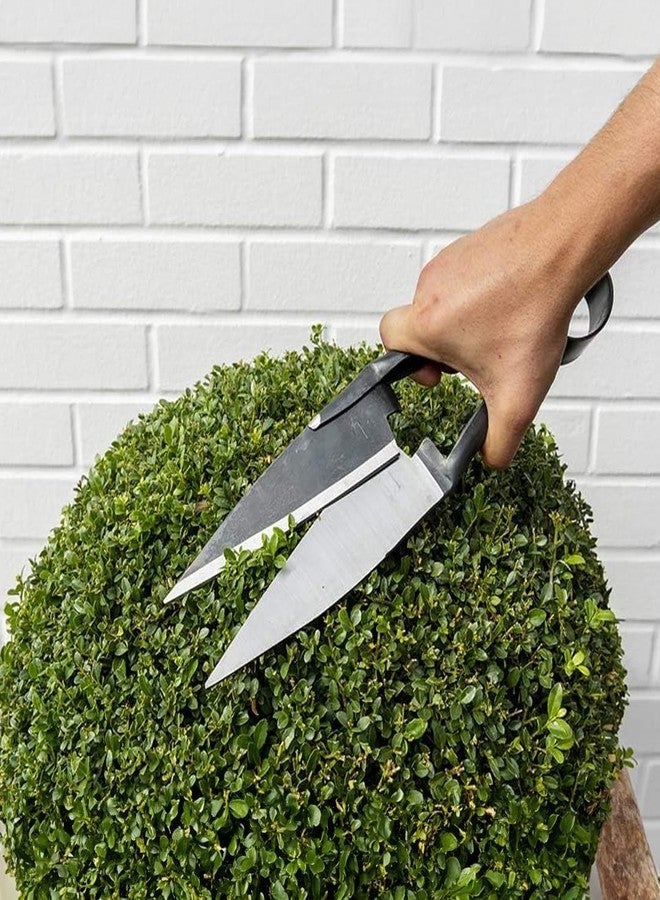 BERGER Commercial Grade Topiary Shear, Sheep Shear, 5.5" Self-Sharpening Scissor Blades, Heart Spring, 2721 - Image 2