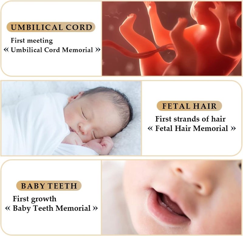 DOERDO DD DOERDO Baby Tooth Box Umbilical Cord Keepsake Box Hair Collection Box with 3 Glass Bottles Kids Souvenir Storage Box to Keep the Childwood Memory 45  31inch - Image 4
