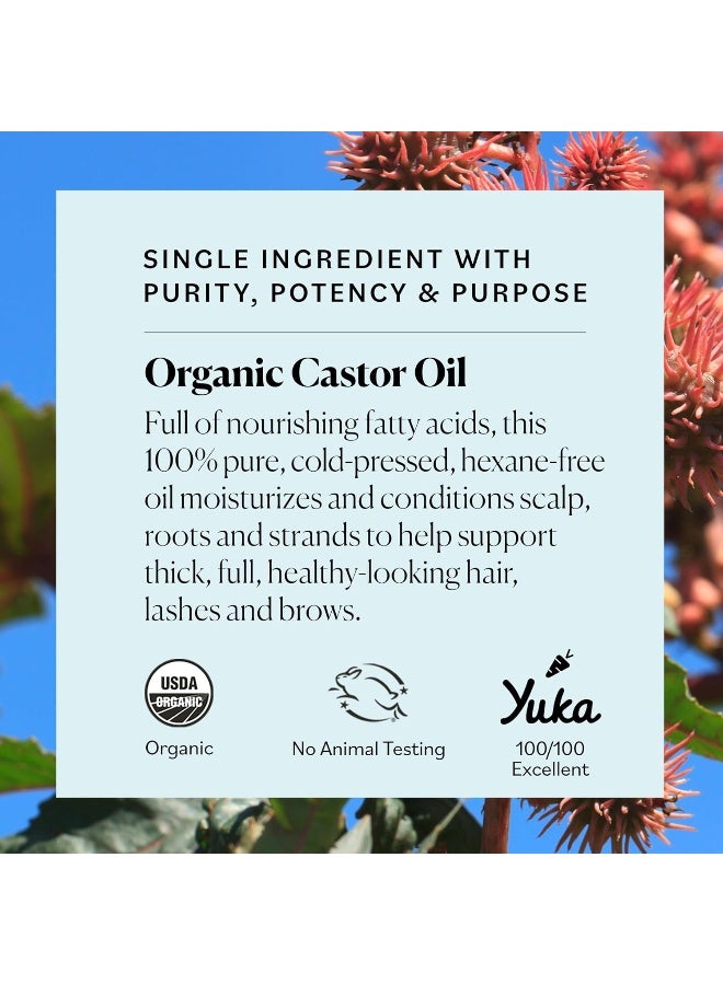 Sky Organics USDA Organic Cold Pressed (473ml) 100% Pure Hexane-Free Castor Oil – Moisturizing & Healing For Dry Skin Hair Growth – For Skin Hair Care Eyelashes – Caster Oil by Sky Organics - Image 4