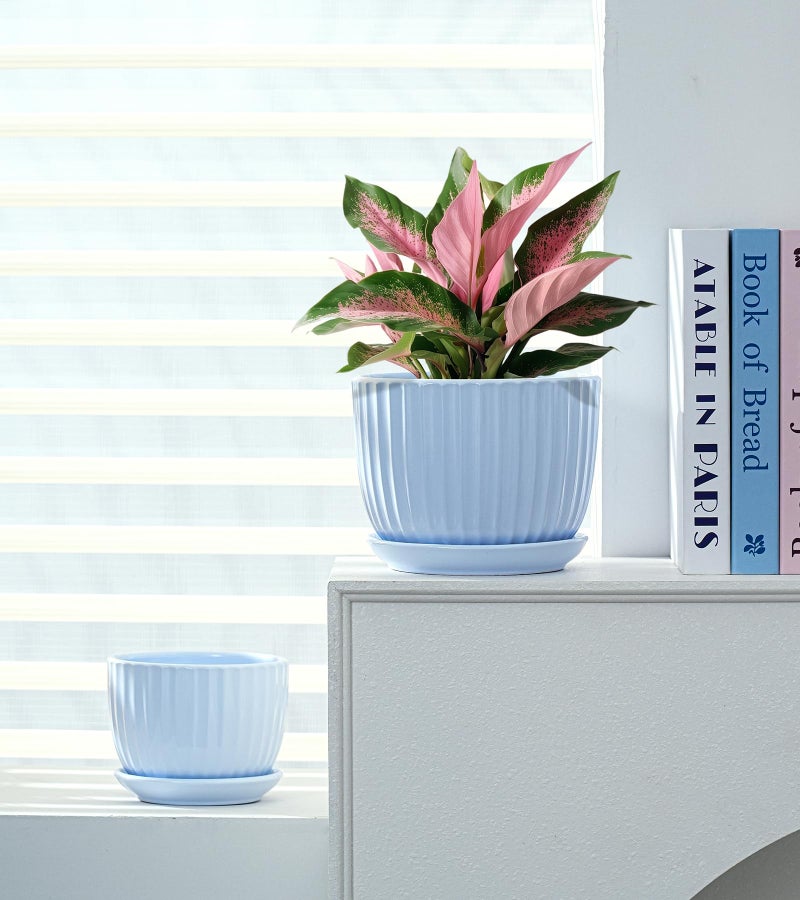 Ton Sin Sky Blue Ceramic Flower Pots, 4"+5"+6" Inch Small Succulent Planters with Drainage Hole,Modern Indoor Decorative Plant Pots Set of 3,Garden Pots with Saucer(Blue) - Image 3