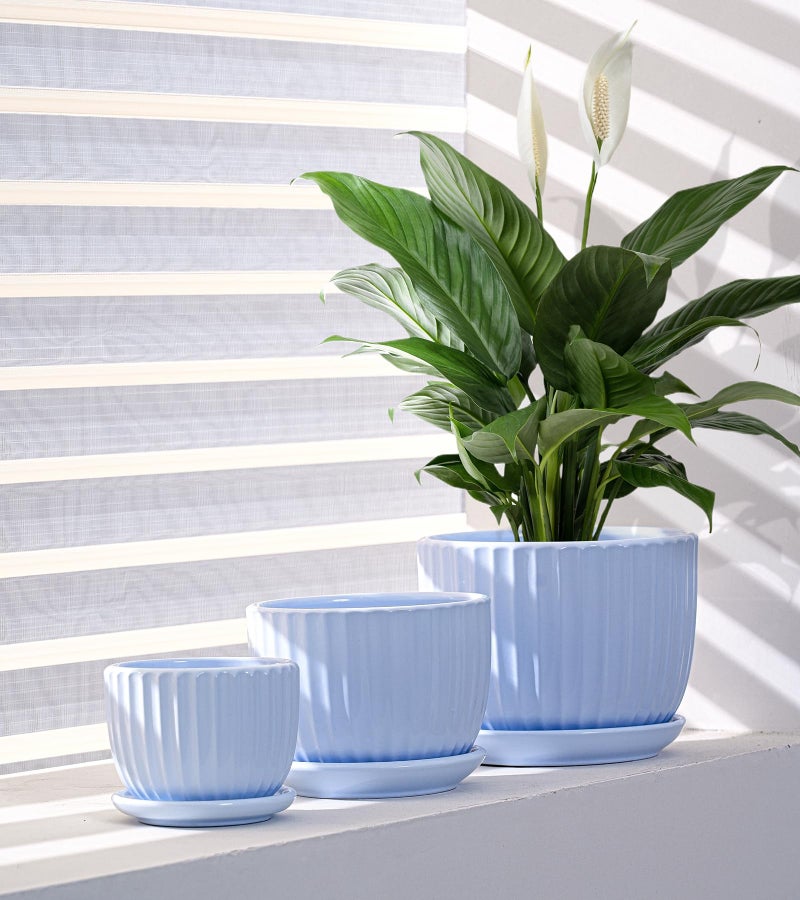 Ton Sin Sky Blue Ceramic Flower Pots, 4"+5"+6" Inch Small Succulent Planters with Drainage Hole,Modern Indoor Decorative Plant Pots Set of 3,Garden Pots with Saucer(Blue) - Image 2