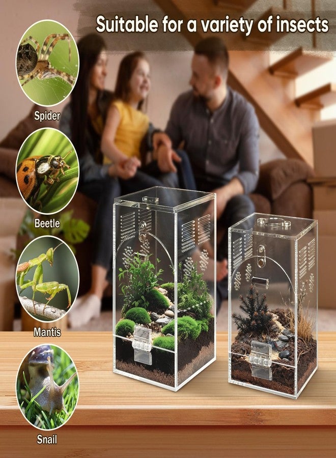 YINGXUN Set of 2 Jumping Spider Enclosure - Image 5
