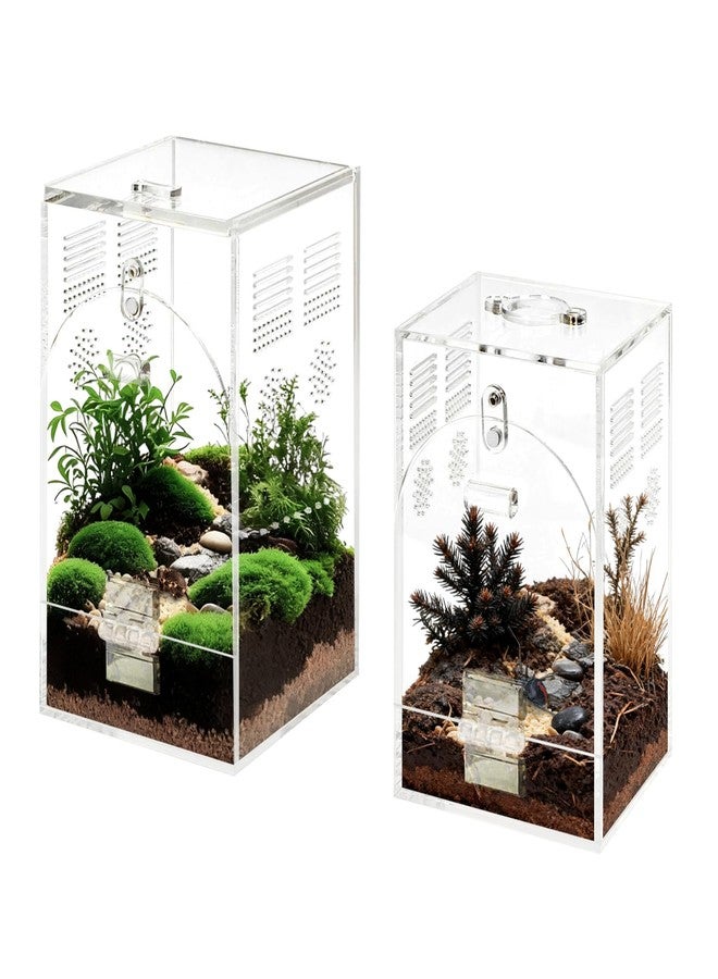 YINGXUN Set of 2 Jumping Spider Enclosure - Image 1