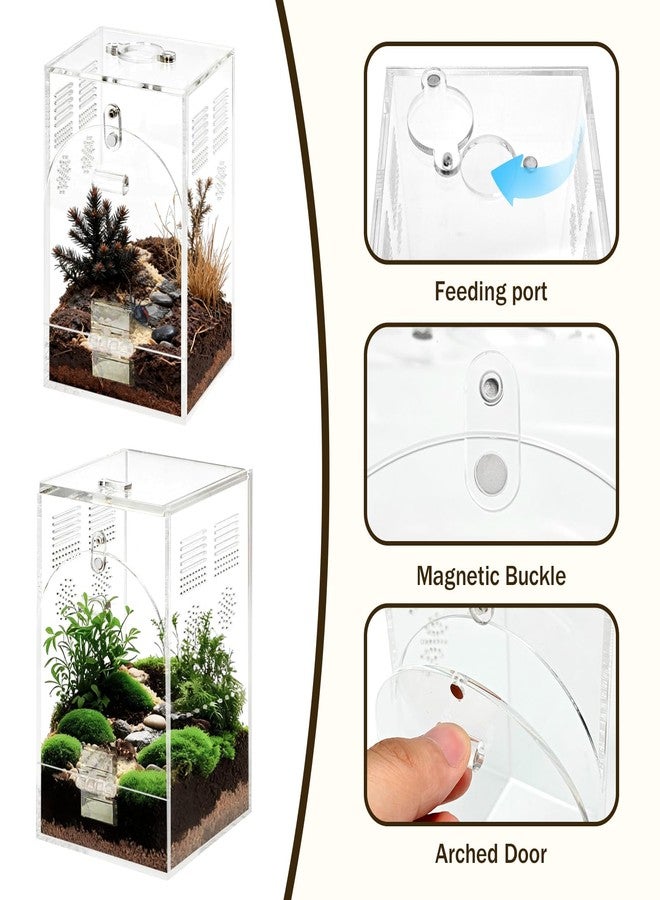YINGXUN Set of 2 Jumping Spider Enclosure - Image 3