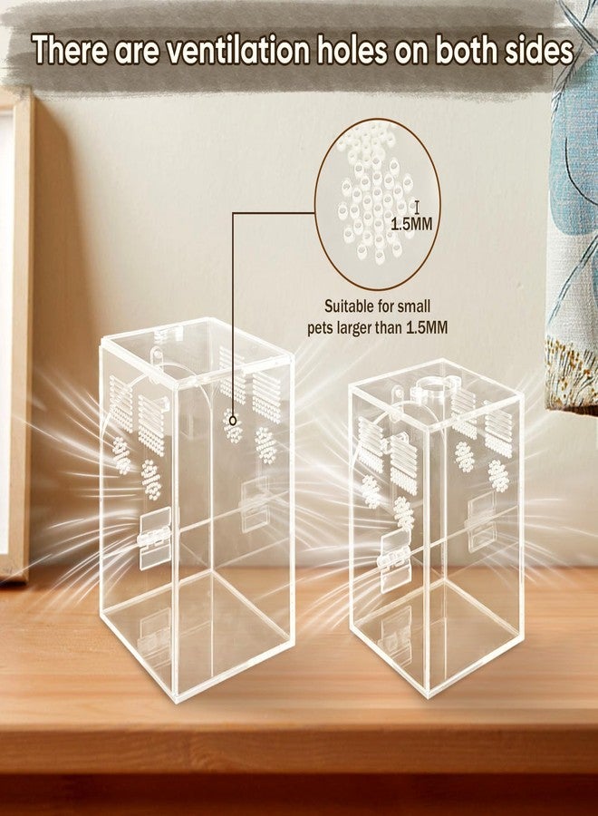 YINGXUN Set of 2 Jumping Spider Enclosure - Image 4